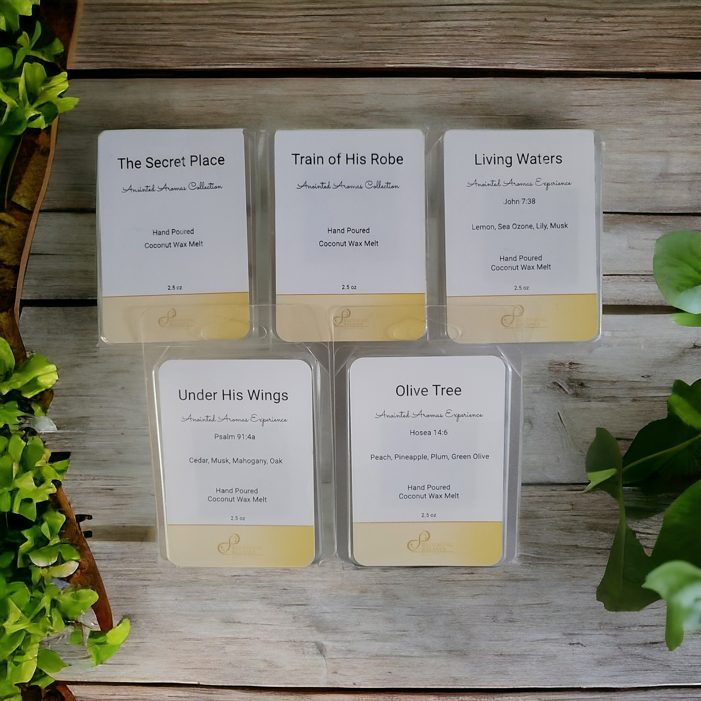 Anointed Aromas™ Wax Melt Complete Set - Restoring Balance Shop